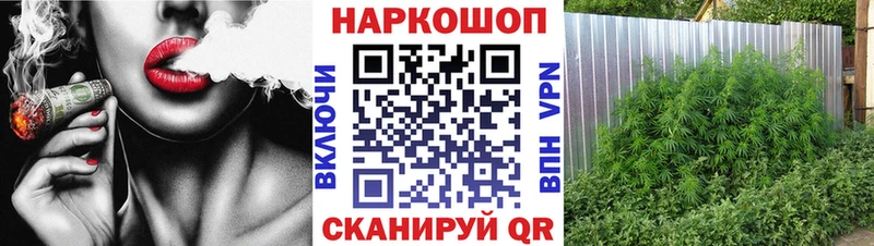 A PVP Елизаветинская