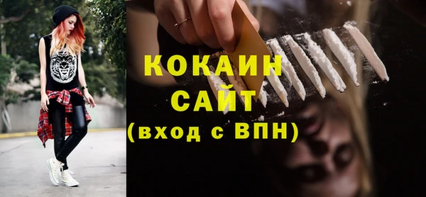 молекула духа Няндома