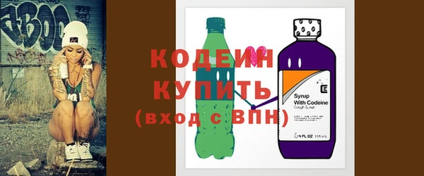 молекула духа Няндома