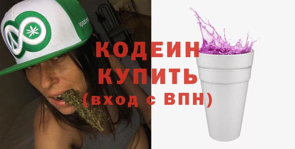 молекула духа Няндома
