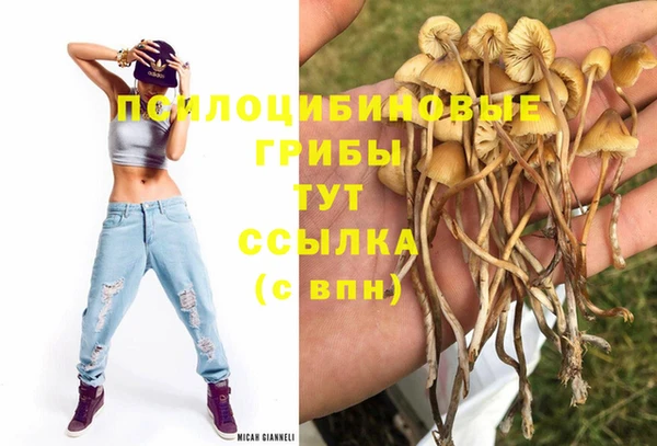 мяу мяу кристалл Нягань