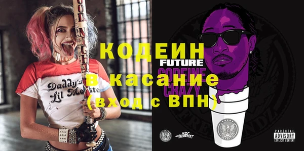 молекула духа Няндома