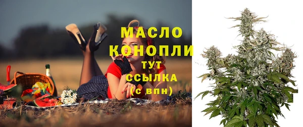 молекула духа Няндома