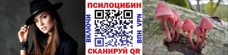 Галлюциногенные грибы Psilocybe  Купить закладки  Елизаветинская 